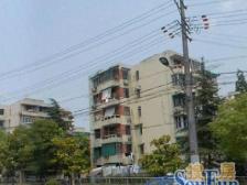 内环地铁口双南双阳台+1993年北郊+采光好