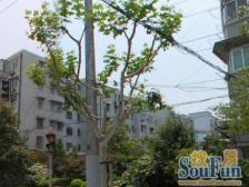 业主诚意出售,学区房精装修,可以领包入住,