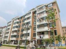 徐汇西:孝心楼层带大院子、考虑底楼不容错过!客厅朝南带阳台!