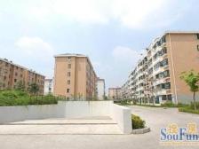 罗锦苑 2室2厅1卫 西