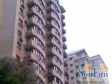 徐家汇 嘉善路地铁站+花园小区+双南全明+双大阳台