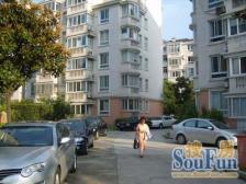 棕榈苑 2室1厅 南