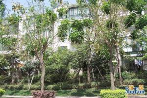 紫桂花园 4室1厅 南