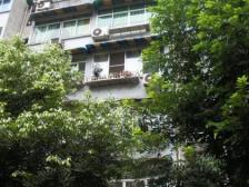 电力小区电梯房 朝中庭不吵 业主自住 户型采光好