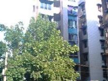 工人村 大公村二房55万