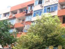 精装拎包入住 业主诚意卖 采光强