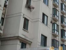 情感委托 飞机户型 05年商品房14号线真光站百米 中环百联