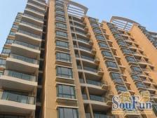 天山星城3室南朝向799.00万元/套出售