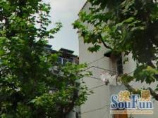 新上好房一室半朝南带阳台,小区中间位置中间楼层。