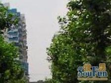 延吉四村 2室1厅 南 北