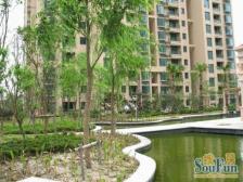 绿洲康城亲水湾(中央区) 4室2厅 南 北