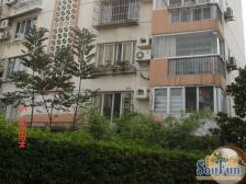 中间楼层 南北通透 位置好 业主诚意出售