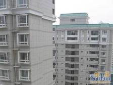 高区视野全明户型+带地下产权车位+置换诚意出售