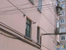 中间楼层双朝南户型,邻百年武夷路,氛围浓厚