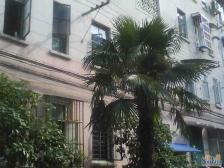 近地铁,刚需上车 无抵押 新上房源