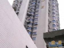 送装修!送家具家电!可定金交房,电梯房,全明,精装