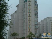 新天家园3室2厅南北
