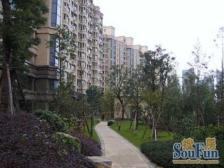 产权清晰 电梯房,随时看房,必看好房