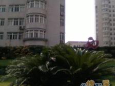 西北有高楼,西郊有家园!采光妙,绿水绕!好好好!