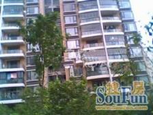 虹桥逸品3室南朝向823.00万元/套出售