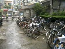 徐汇内环合丰大楼 电梯朝南一房一厅 房型正气 采光通风好