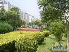 满5年精装修3房 业主置换急售 到价签 看房随时