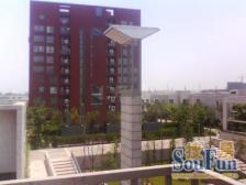 华侨城一期一房,北看桃花源,南看华侨城,满五税少