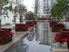 南山巴黎印象 1室1厅 南 西北