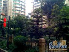 石桥铺正规大3房,陈家坪轻轨站300米,诚心出售