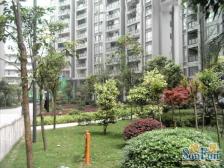 天辰美苑 1室1厅 东