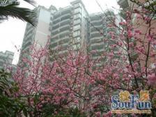 南坪东路 烟雨碧波二房86万