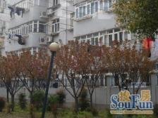 全明楼层+近地铁+美丽家园+大零号湾