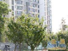 樱源晶舍 2室2厅 南