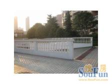 市区联排别墅 南北通 带花园 千坪草坪 鸟语花香