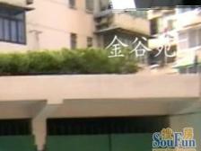 金谷苑 1室1厅 南