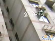 内环内1房1厅,采光视野无遮挡,足不出户俯瞰中山公园