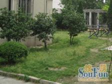 新装,双南两房,拎包入住,位置好采光好,清清爽爽