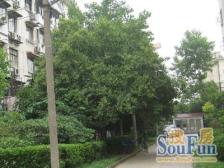 嘉秀坊1室南朝向215.00万元/套出售