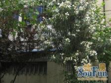 近地铁产权清晰精装无抵押新上房源