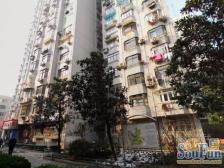 2房朝南全明户型精装修近地铁8/4线西藏南路站