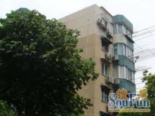 新出王炸房源 南北通 厅带窗全明户型