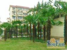 采光好 满五,无抵押 必看好房