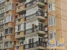 飞机户型 全明三房 带车位 五角场近在咫尺 随时看房