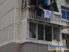 梅园七街坊1室南朝向430.00万元/套出售