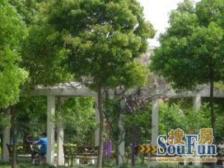 新上中环内商品房电梯高区,户型正气,南北双阳台,满五WU税