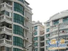 东明路地铁口树景房全明三面采光大四房视野开阔绿化好