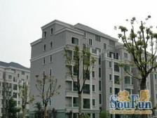 电梯房,现场实勘 新上房源