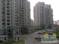 精装 无抵押 随时看房,必看好房
