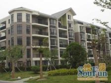 颛桥·好世凤凰城·3室·2厅