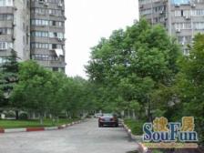 莘庄·水清二村·4室·2厅